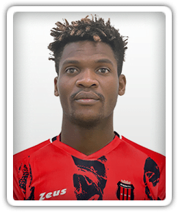 Didier Ndong