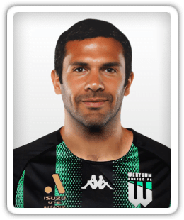 Nikolai Topor-Stanley