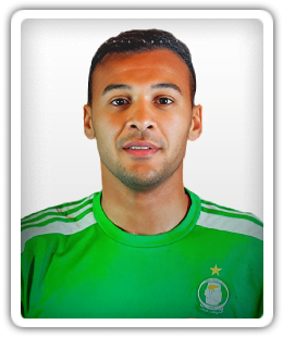 Anis Saltou