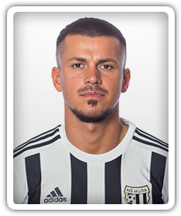 Srdan Spiridonovic