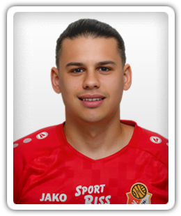 Dušan Lazarevic