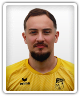 Sadin Hamzic