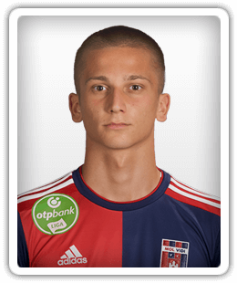 Elvir Hadzic