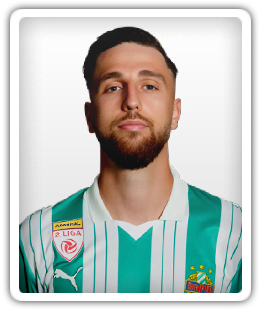 Dalibor Velimirovic