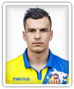Elvis Bozicevic
