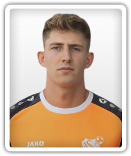 Dominik Sulzer
