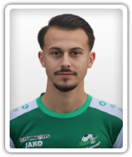 Predrag Gavric