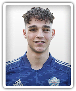 Niko Šalika