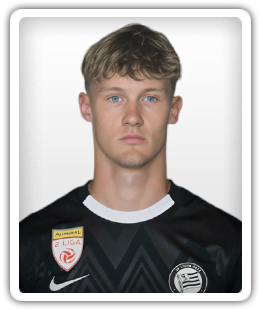 Tizian-Valentino Scharmer