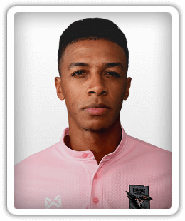 Wellington Priori