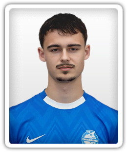 David Gallei