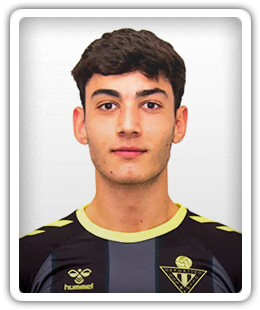 Diego Llamazares