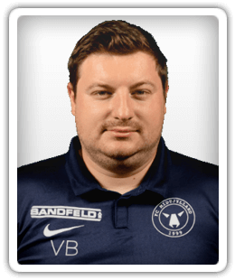 Vedran Blazevic