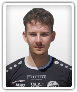 Ervin Mujadzic