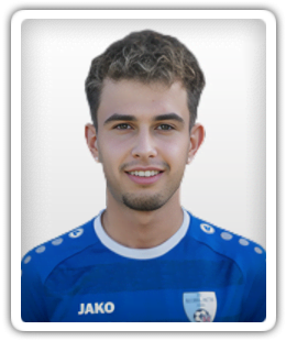 Nikola Potic