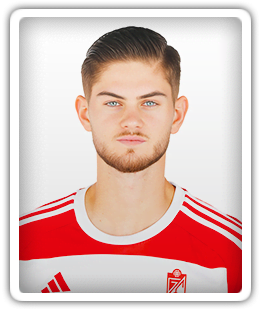Nico van Rijn