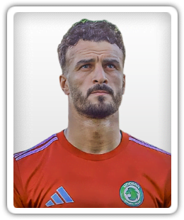 Mahmoud Rizk