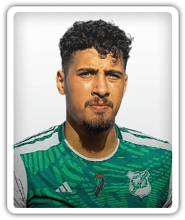 Mehdi Al-Kout