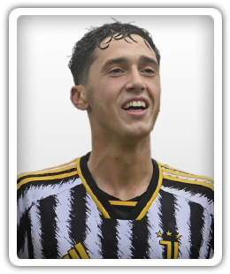 Diego Ripani