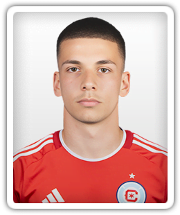 Viktor Radojevic