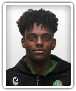 Dawit Fossi