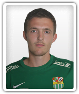 Niko Drevenšek