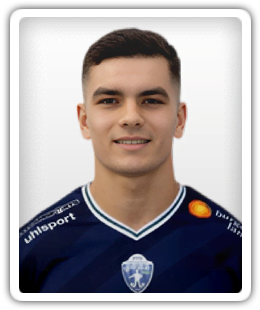 Nermin Bajraktarevic