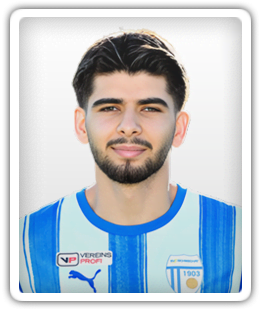 Mohamed Hosein Saidi