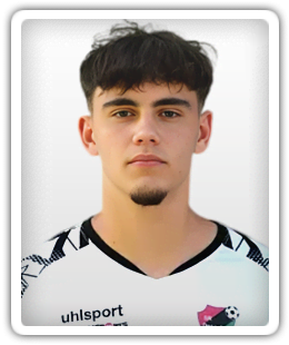 Mario Mandl