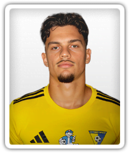 Hamza Samardzic