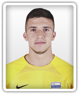 Almin Kahrimanovic