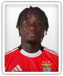 Vladimir Mendes