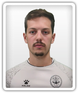 Henrique Martins