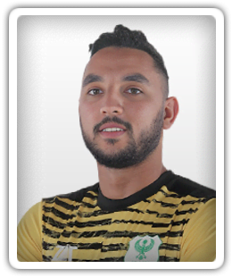 Mohamed Shehata