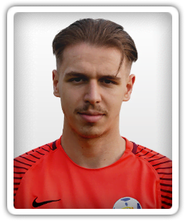 Adin Kuljic