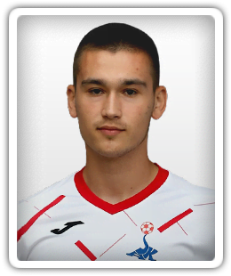 Marko Mitrovic
