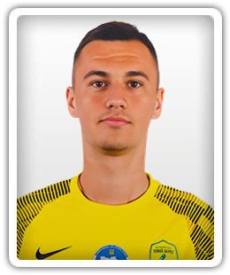 Volodymyr Shvets