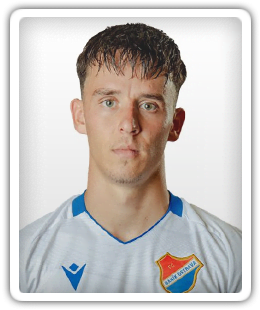 Dominik Holan