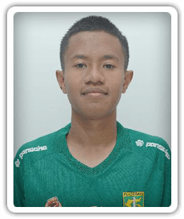 Ruy Arianto