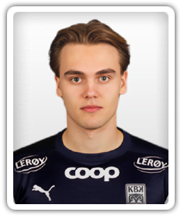 Leander Alvheim
