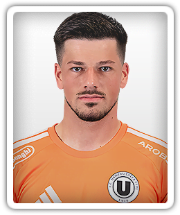 Denis Moldovan