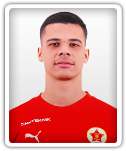 Nikola Savic