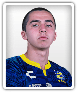 Vicente Vega