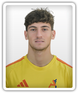 Francesco Raffaelli