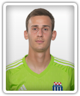 Karlo Kralj