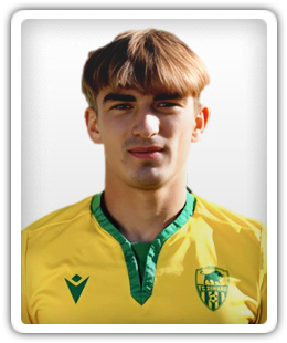 Mihai Morozan