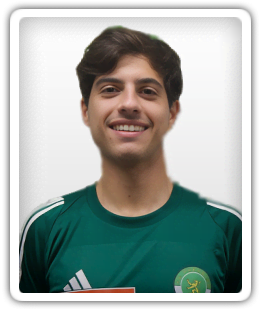 Arthur Diniz