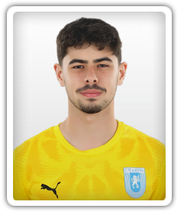 Matei Goga