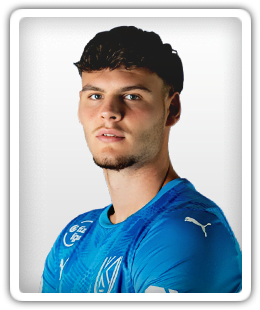 Gergo Szoke