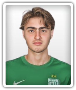 Raul Begishvili